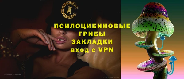 не бодяженный Кукмор