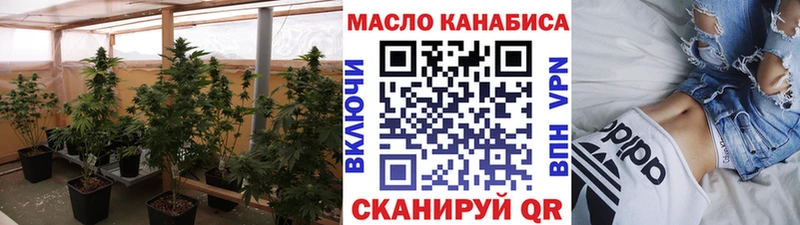Купить где  Нефтекумск  ТГК концентрат 